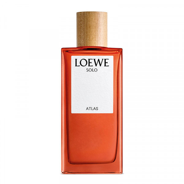 Loewe Loewe Solo Atlas